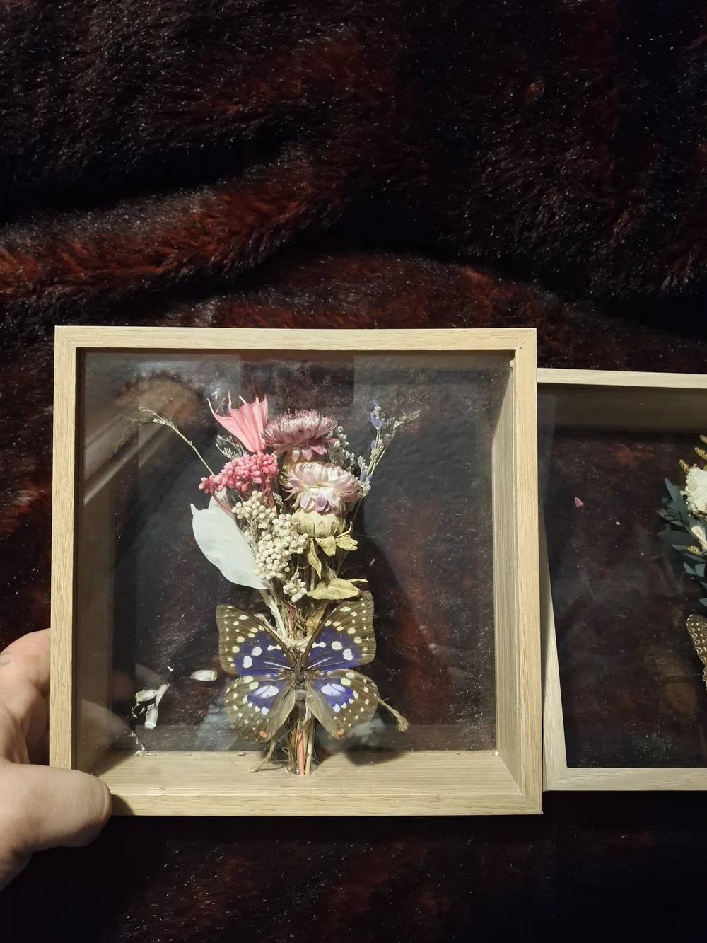 Decorative Framed Dried Flower and Butterfly Wall Art - Set of 2 - Natural Wood
